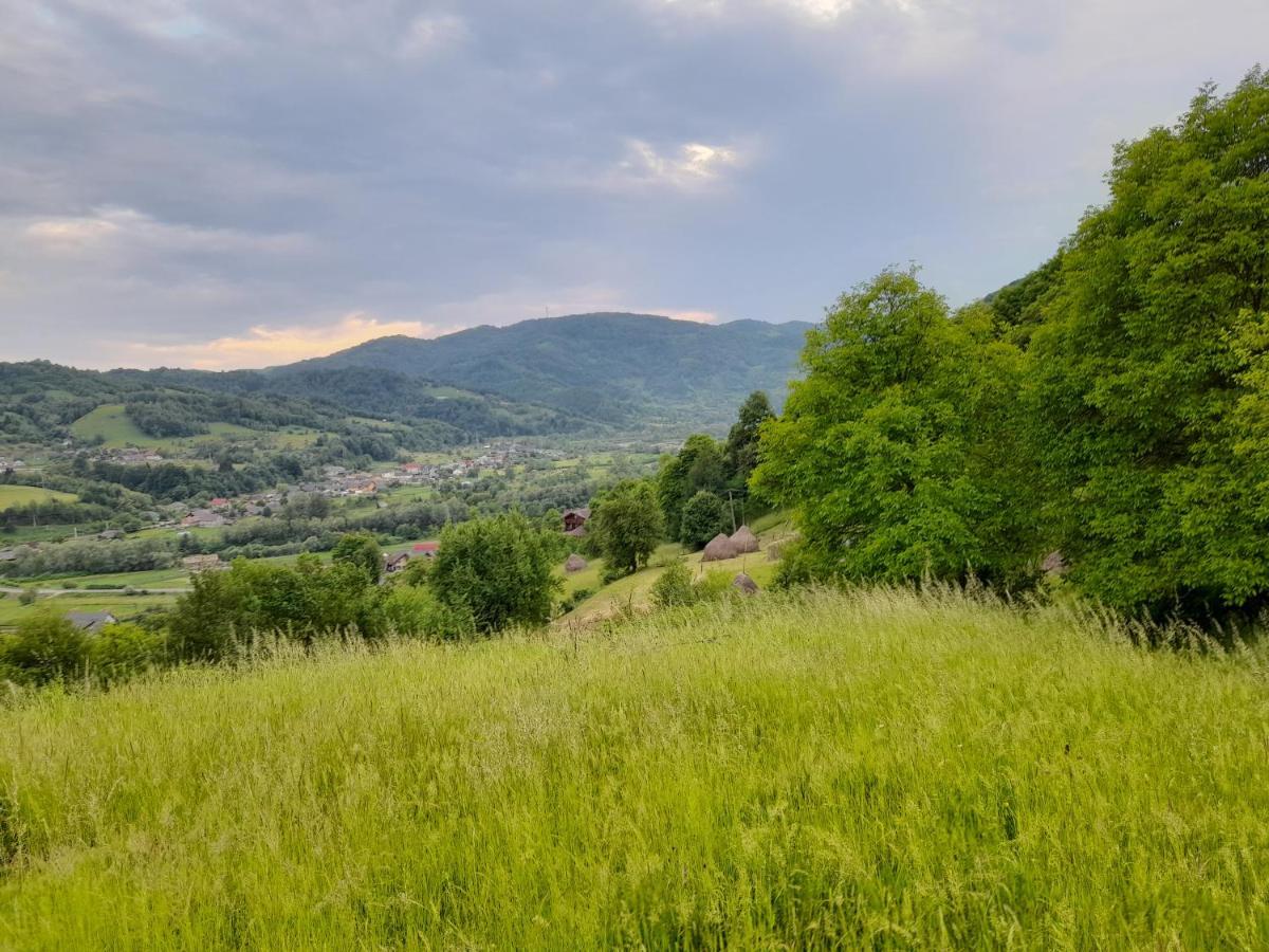 Cabana Din Revier Viseu de Jos Exteriér fotografie