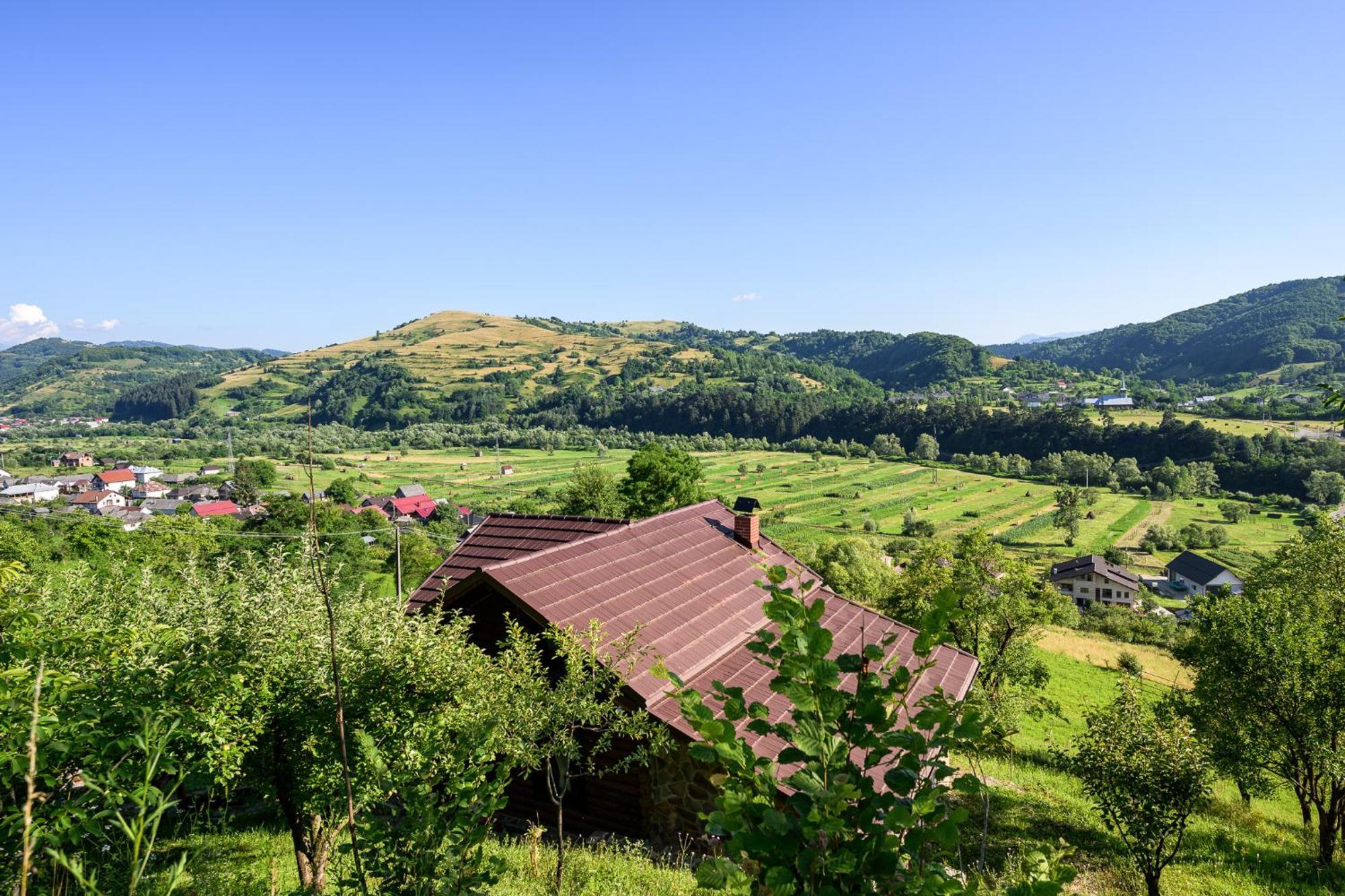 Cabana Din Revier Viseu de Jos Exteriér fotografie